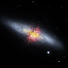 Cigar Galaxy