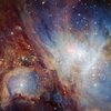 Orion